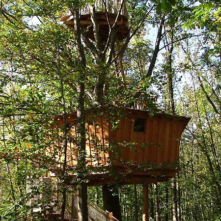 Les Cabanes De Fontfroide Saint-Antoine  Екстер'єр фото