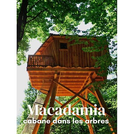 Les Cabanes De Fontfroide Saint-Antoine  Екстер'єр фото
